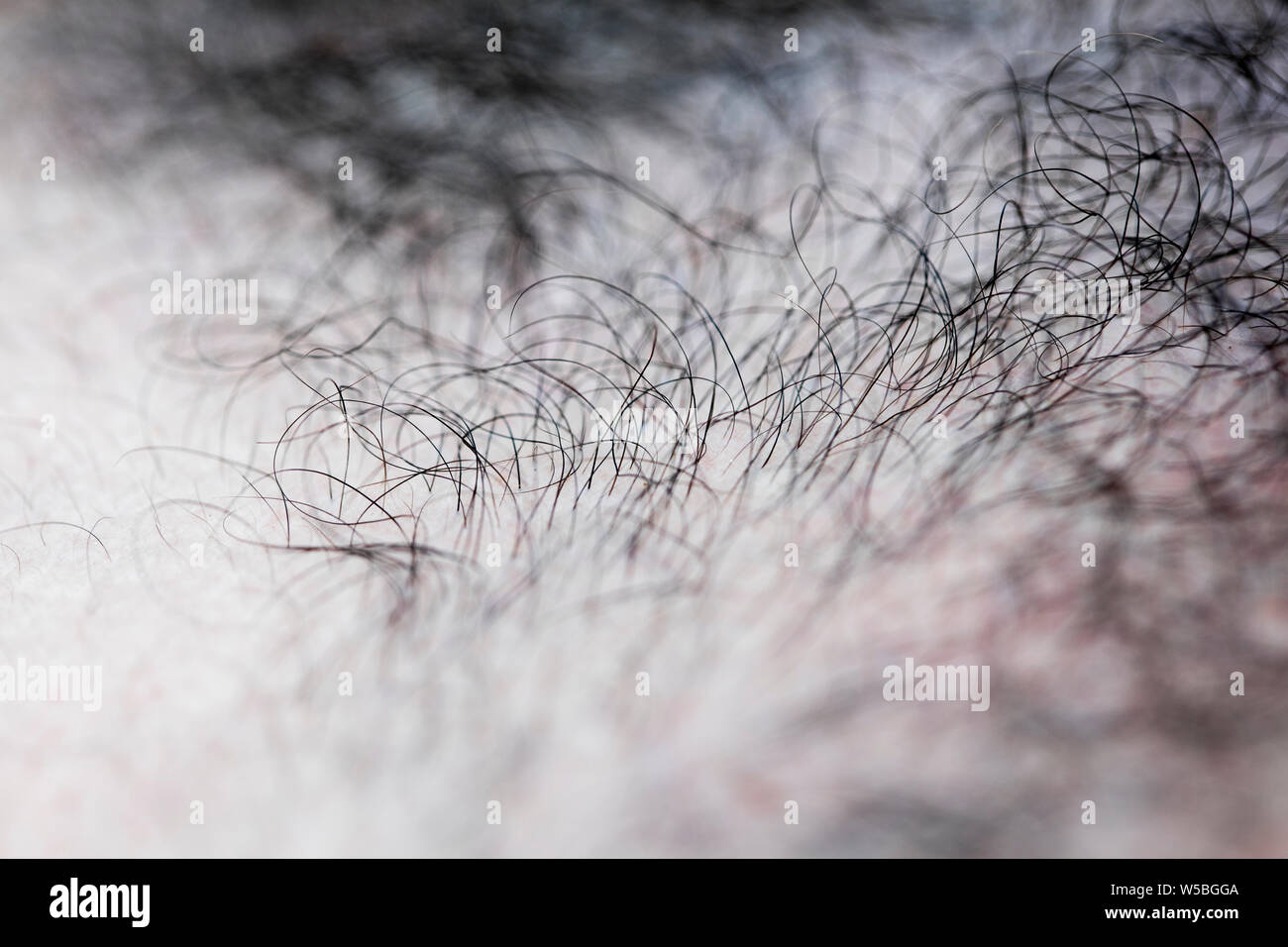 Mans Haare Makro Hintergrund Fine Art Drucke in hoher Qualität Produkte 50 Megapixel Stockfoto