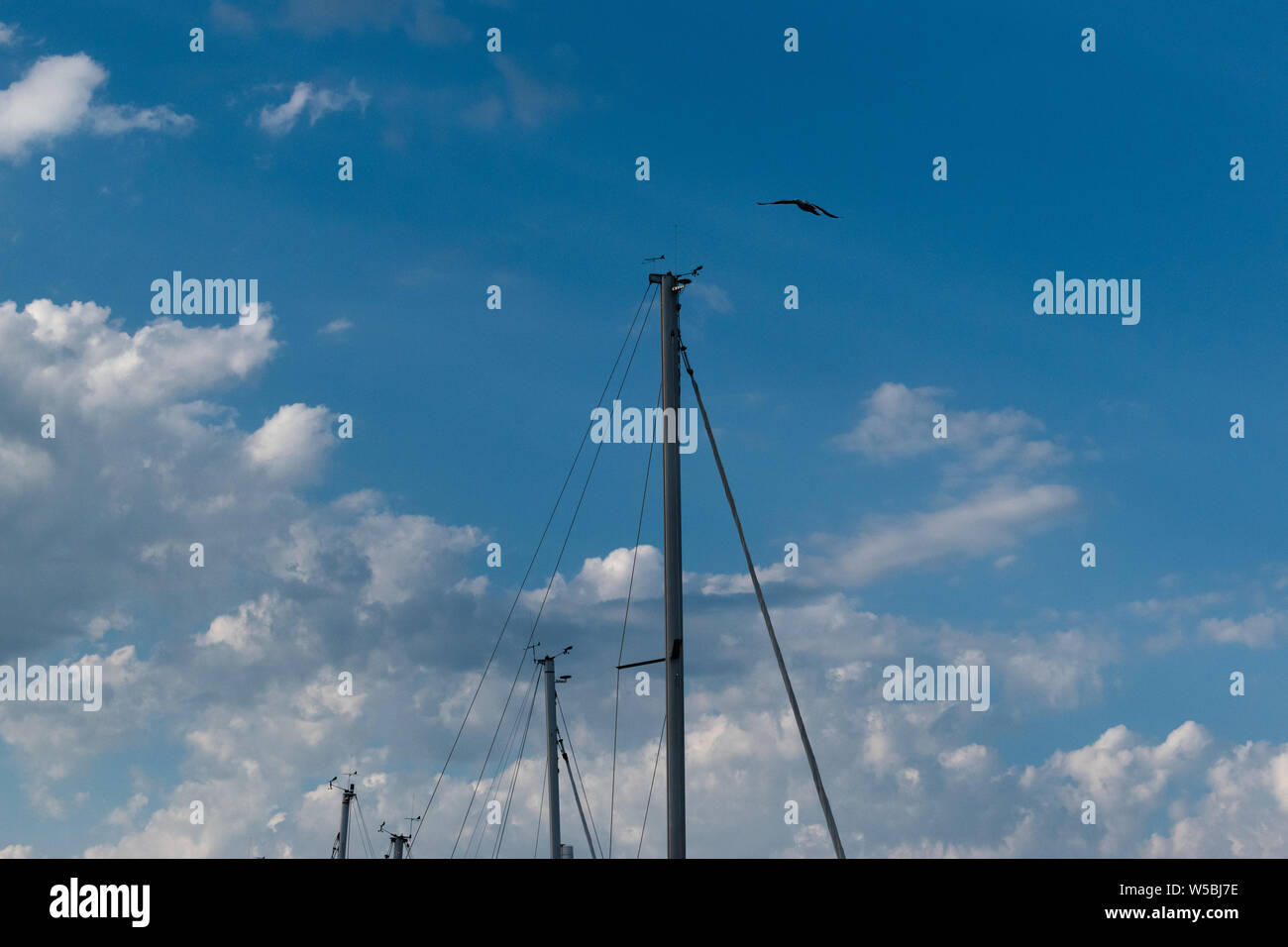 Vogel fliegen gegen die weissen Wolken am blauen Himmel über Boot Masten. Stockfoto