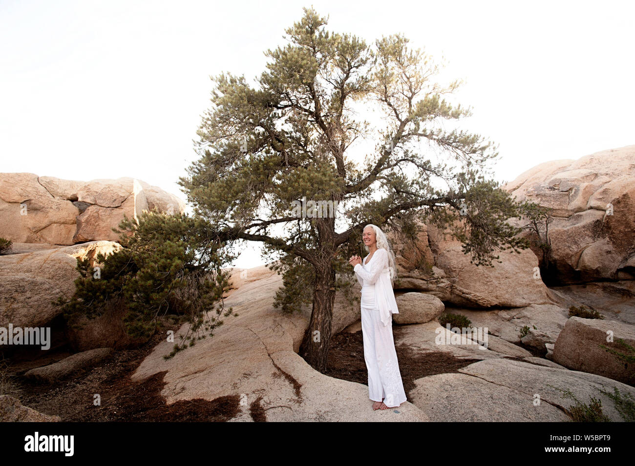 Wunderschöne reife geistige yoga Frau earing Weiß in einem natürlichen Wüste Natur Landschaft stehen unter einen schönen Baum. Stockfoto