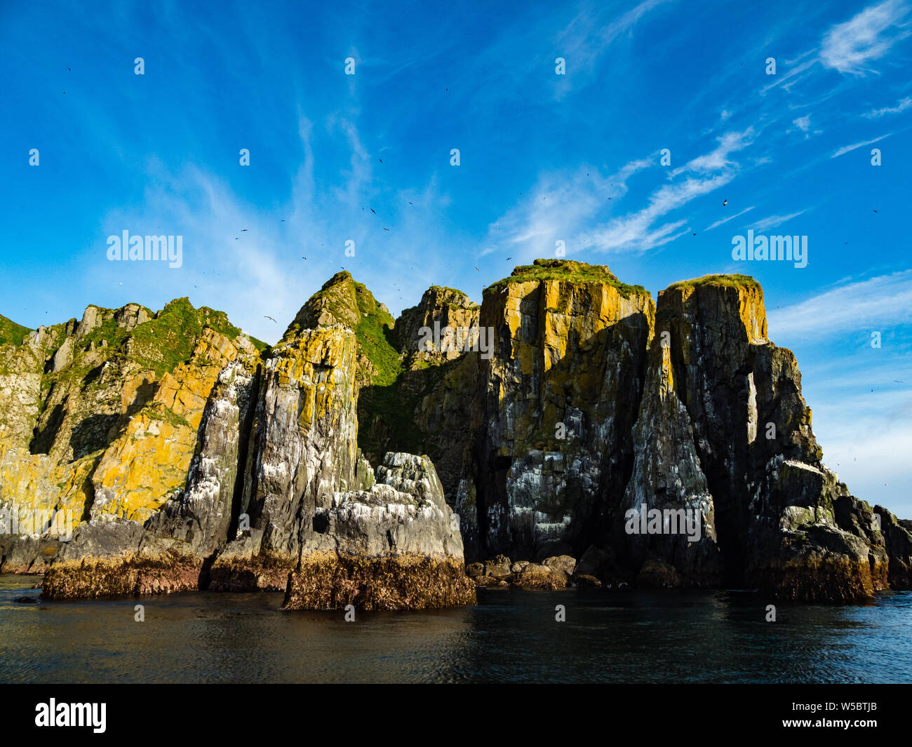 Die atemberaubende Seevögel nisten Klippen von Aghik Insel der Semidi Island Wilderness Reserve aus der Alaska Halbinsel Stockfoto