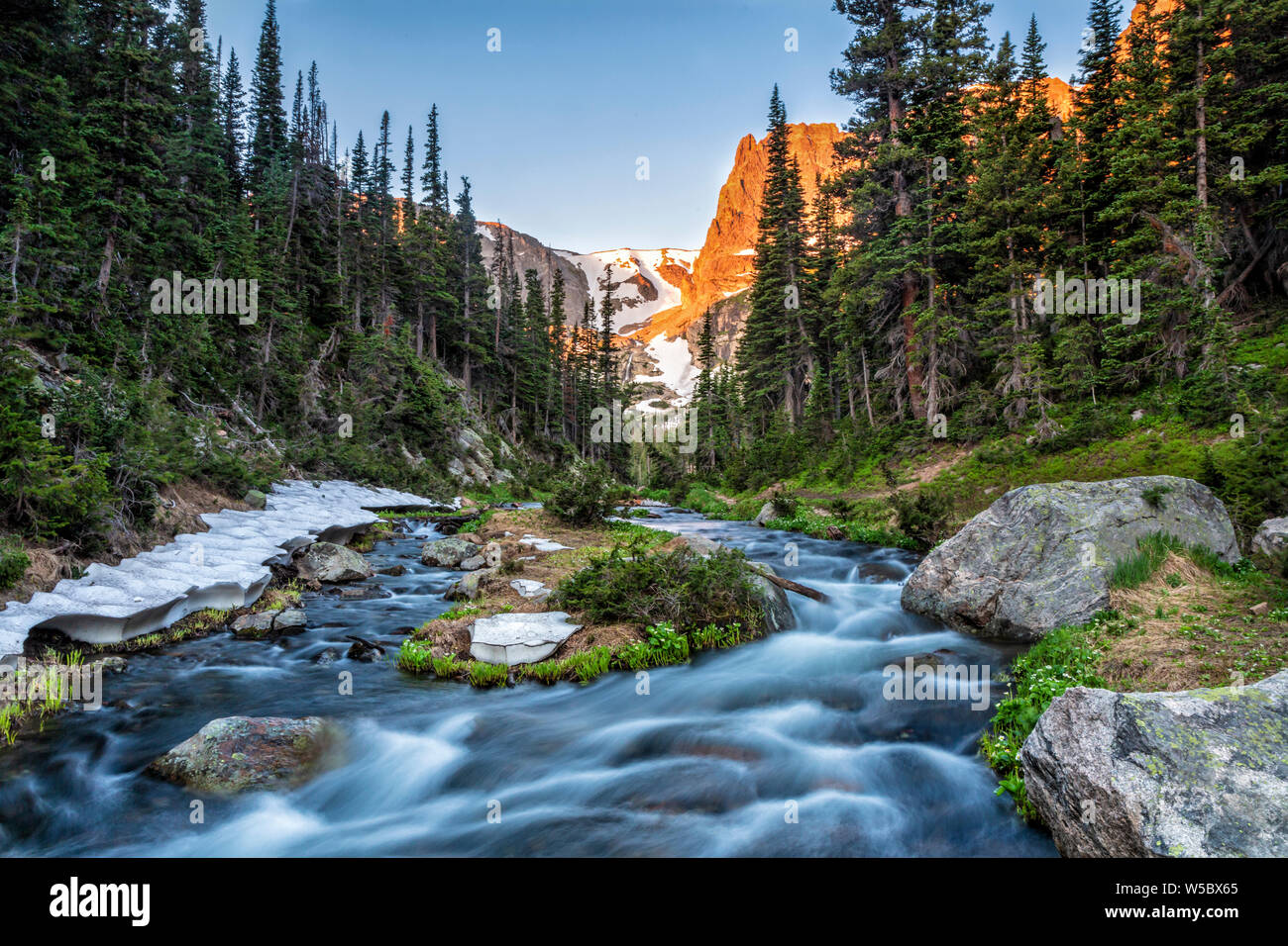 Fern Creek fließt aus Odessa See unterhalb Notchtop Berg und die Ptarmigan Pass durch den Wald im Rocky Mountain National Park, Colorado gesehen. Stockfoto