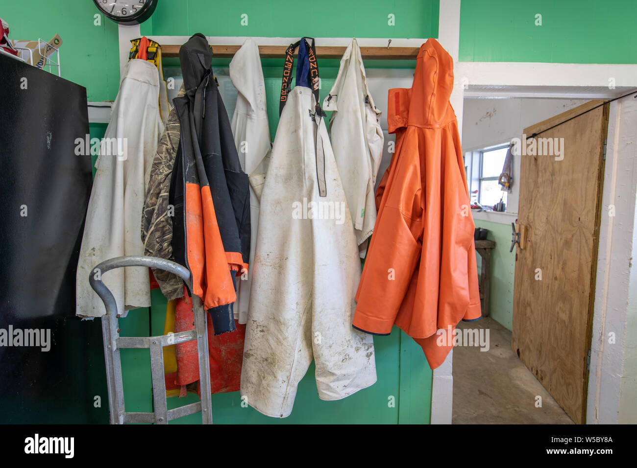 Wasserdichte Jacken und Watvögel am hängenden Haken, Hoopers Insel, Maryland. Stockfoto