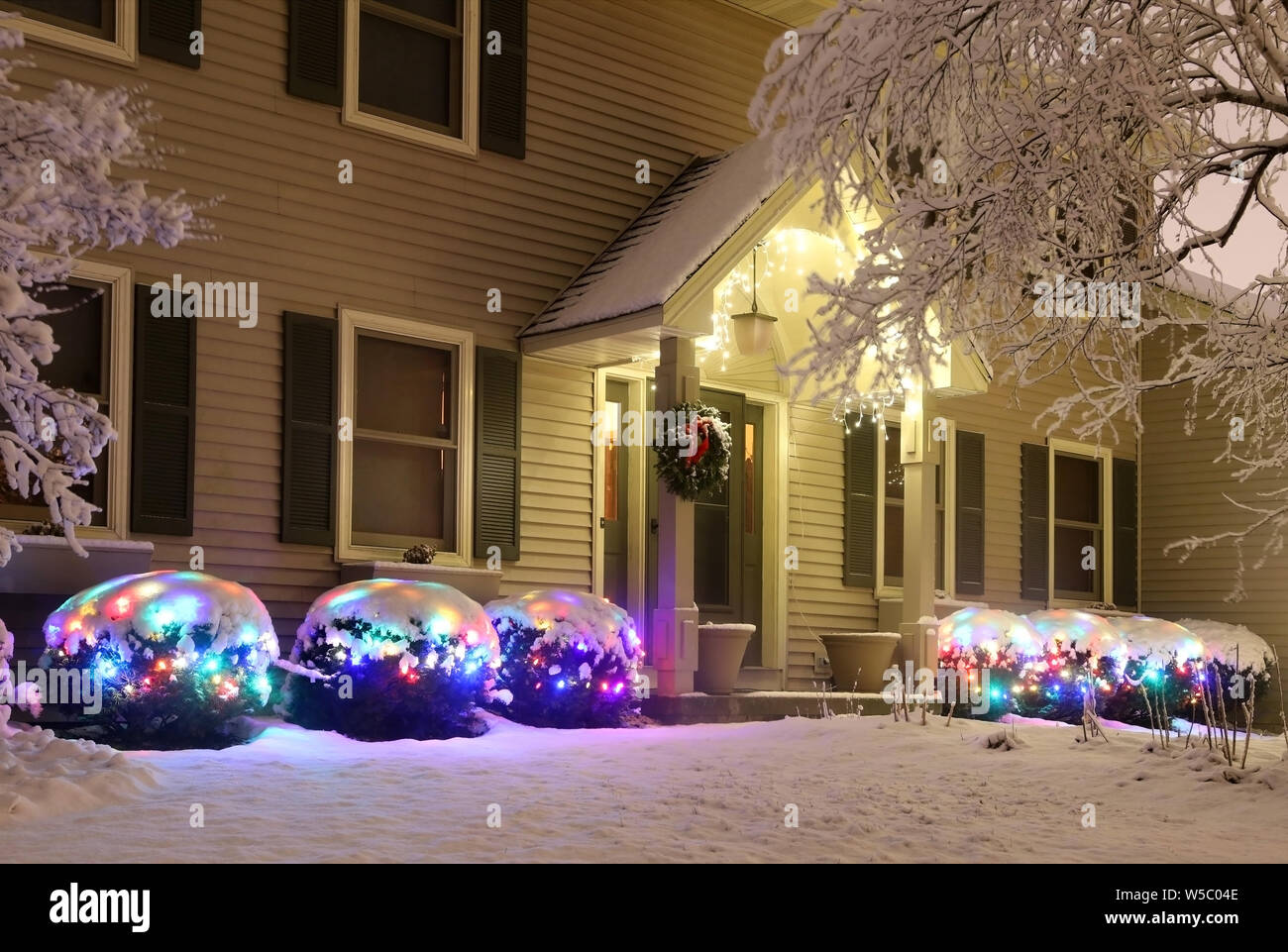 Durch frischen Schnee im Vorgarten des privaten Haus für Winter Saison dekoriert. Nacht Szene mit, die im Dunkeln leuchten Sträucher, durch gar gewickelt Stockfoto