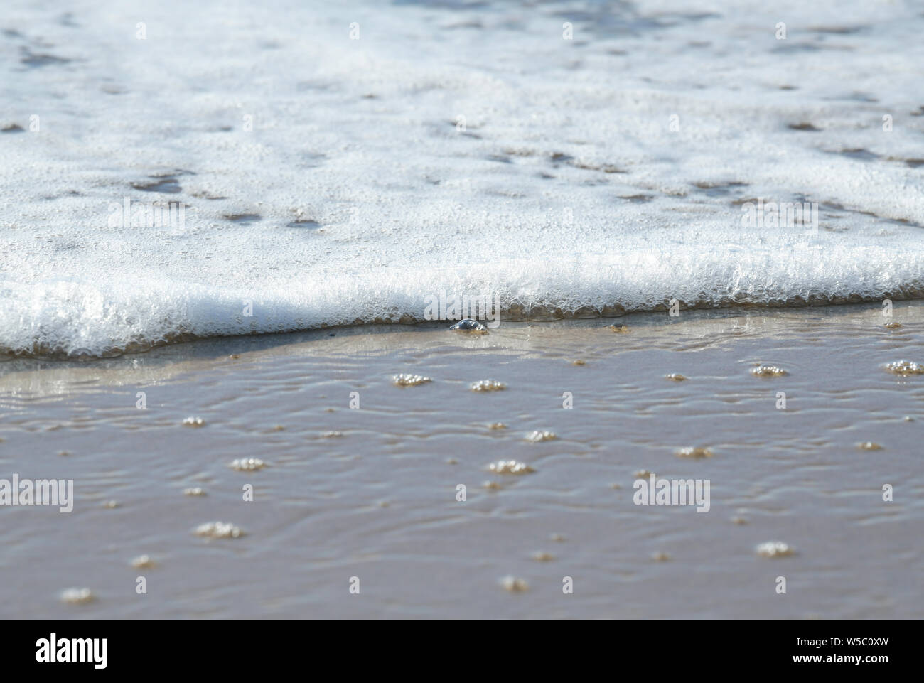 Nahaufnahme, Detail, Schaum blasen verbrachte sea wave, abstrakt, Hintergrund Stockfoto