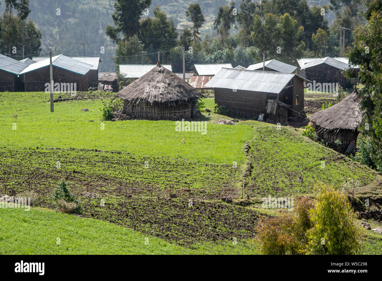 Ein kleines Bauerndorf, Mekele, Äthiopien Stockfoto