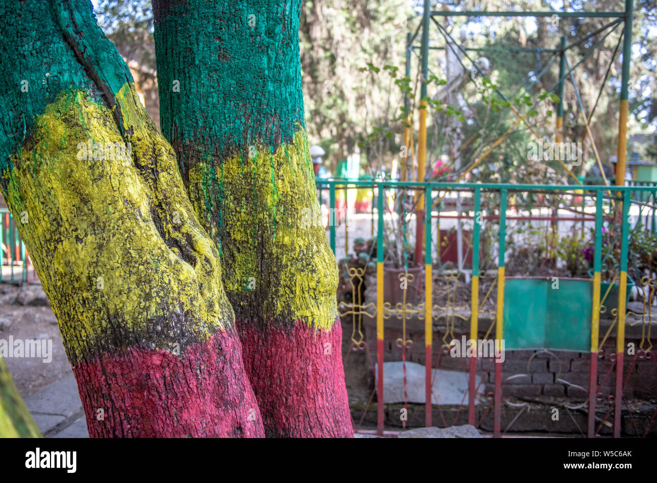 Ein Baum und Zaun in die Farben der Äthiopischen Nationalflagge blasoniert, Debre Berhan, Äthiopien Stockfoto