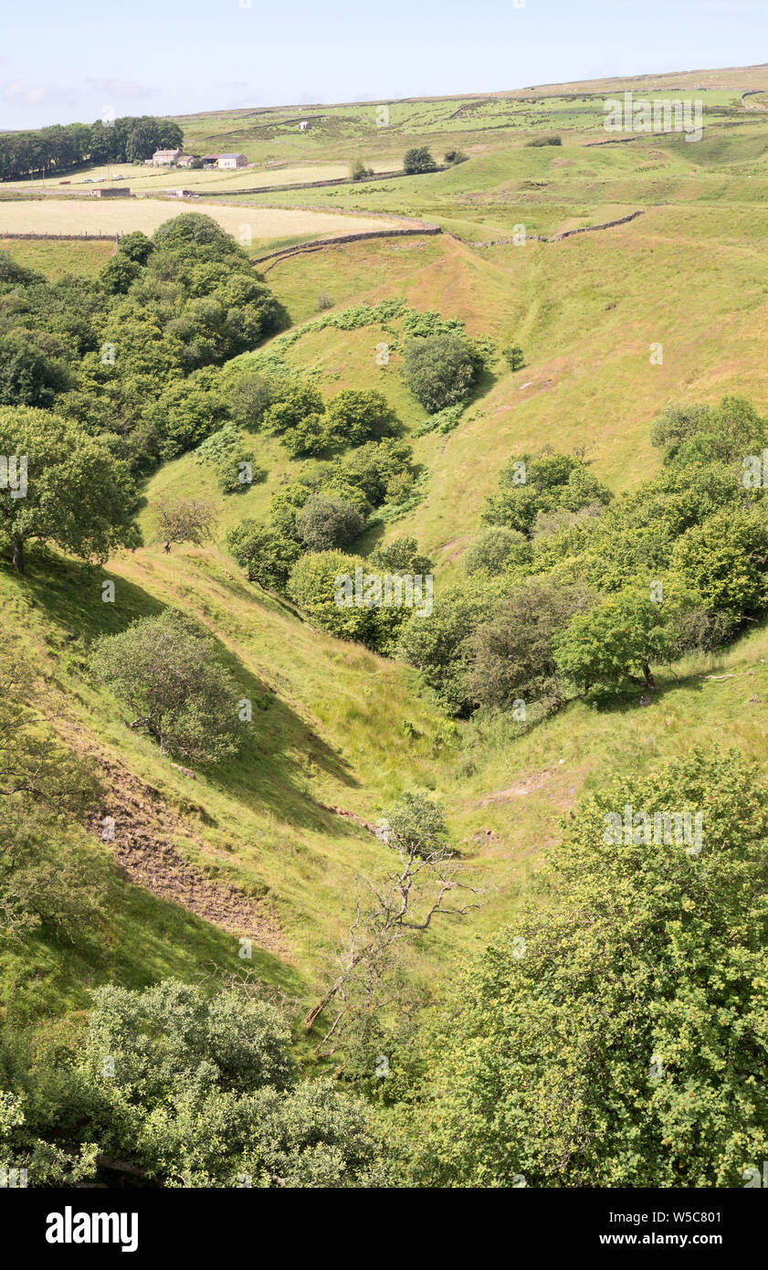 Gedämpfte Tal nach dem Slitt Vene von Erz, die zu der Website von niedrigen Slitt Mine in der Nähe von Westgate, Co Durham, England, UK führen. Stockfoto