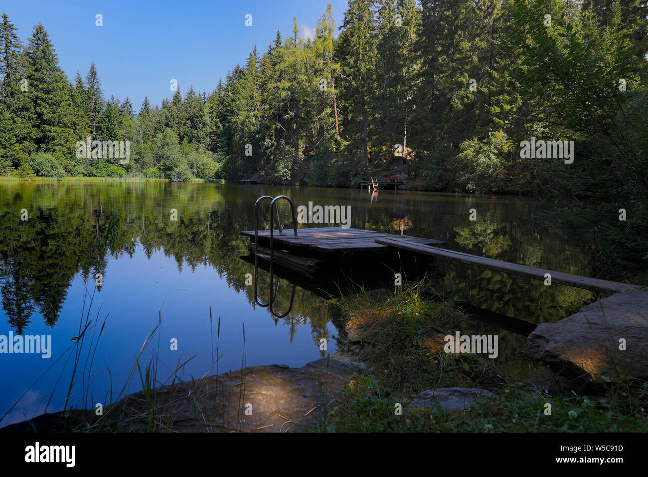 Holzsteg mit einer Badeleiter in einem schönen grünen See Stockfoto