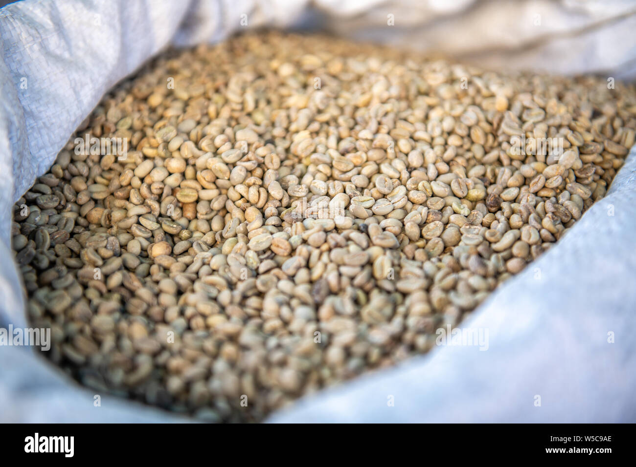 Beutel voll von Ungerösteten Kaffeebohnen, Deber Berhan, Äthiopien Stockfoto