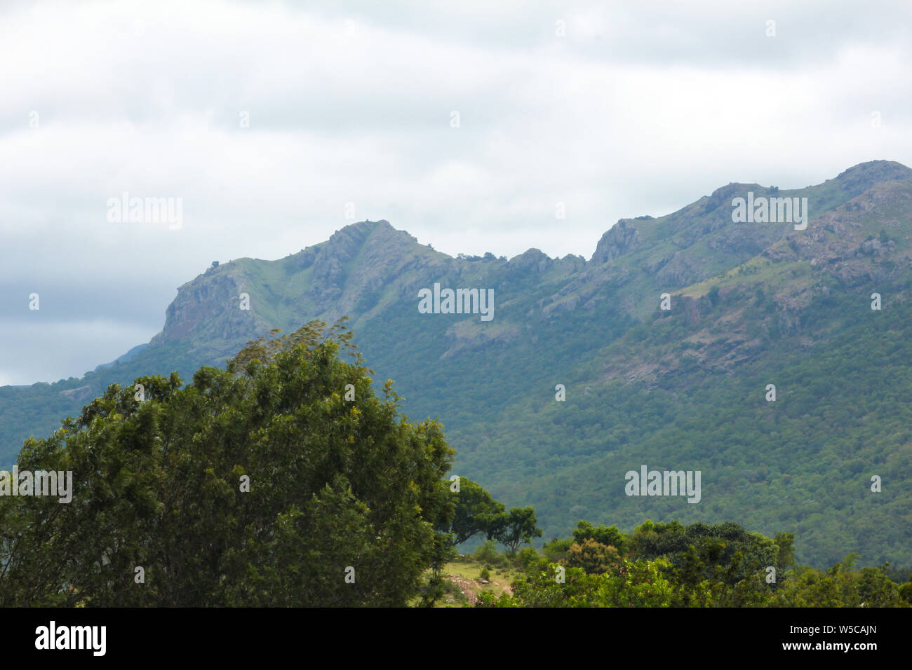 Schöner Blick auf die Bergkette von Talamalai finden Wald, Hasanur, Tamil Nadu, Karnataka, Indien Stockfoto