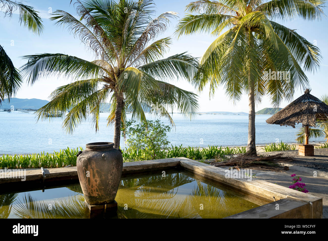 Dekorative Wasser Gläser unter Kokospalmen mit Blick auf Xuan Dai Bucht von Astop rest stop in Phu Yen Provinz, Vietnam Stockfoto