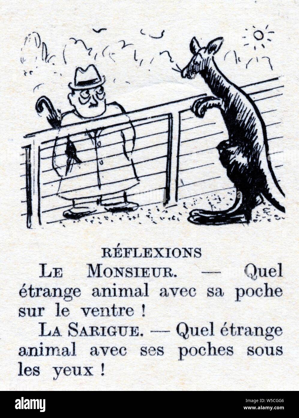 Histoire drôle par CAMI. Réflexions Stockfoto