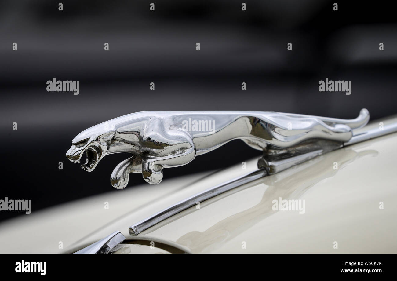 Jaguar Kühlerfigur Stockfoto