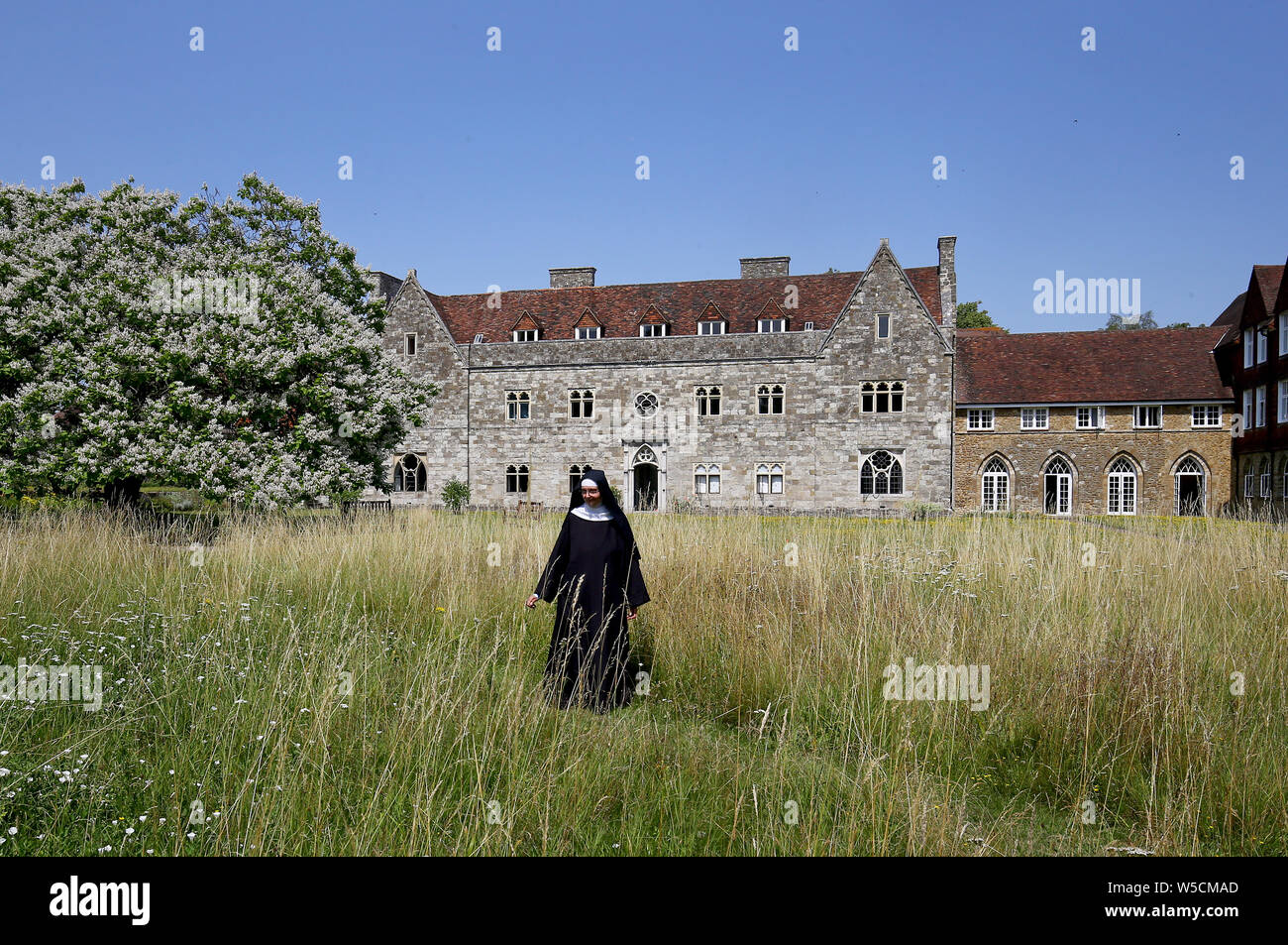 Mutter Mary David genießt den wilden Garten der St. Mary's Abbey, auch bekannt als Malling Abbey, in West Malling, Kent. Die Lebensweise der Gemeinschaft der Nonnen ist durch Vorschläge zum Bau einer Wohnsiedlung neben ihrem abgeschiedenen alten Haus bedroht, haben Aktivisten behauptet. Stockfoto
