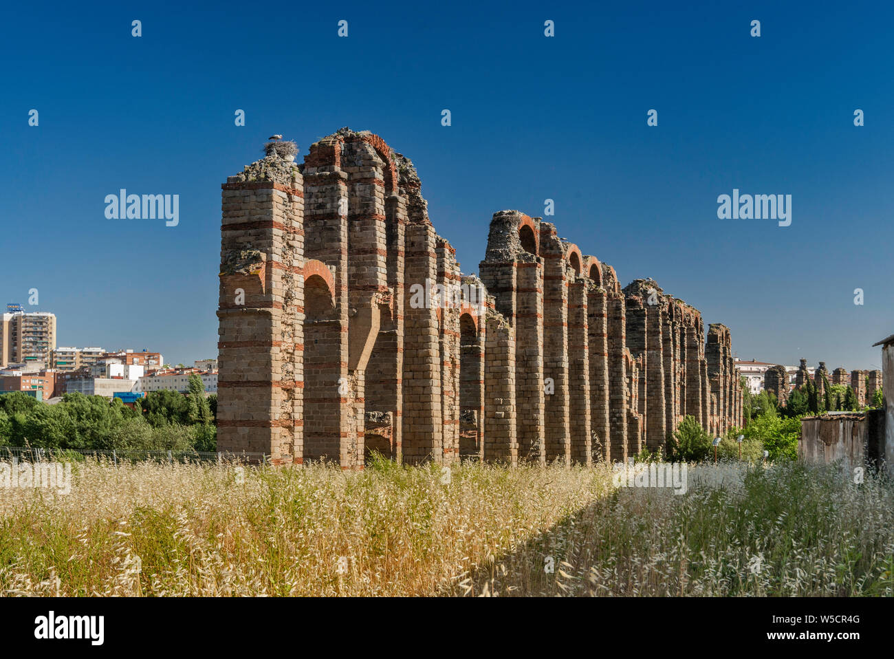 Störche nisten an Acueducto Los Milagros, römische Aquädukt, 1. Jahrhundert, in Merida, Provinz Badajoz, Extremadura, Spanien Stockfoto