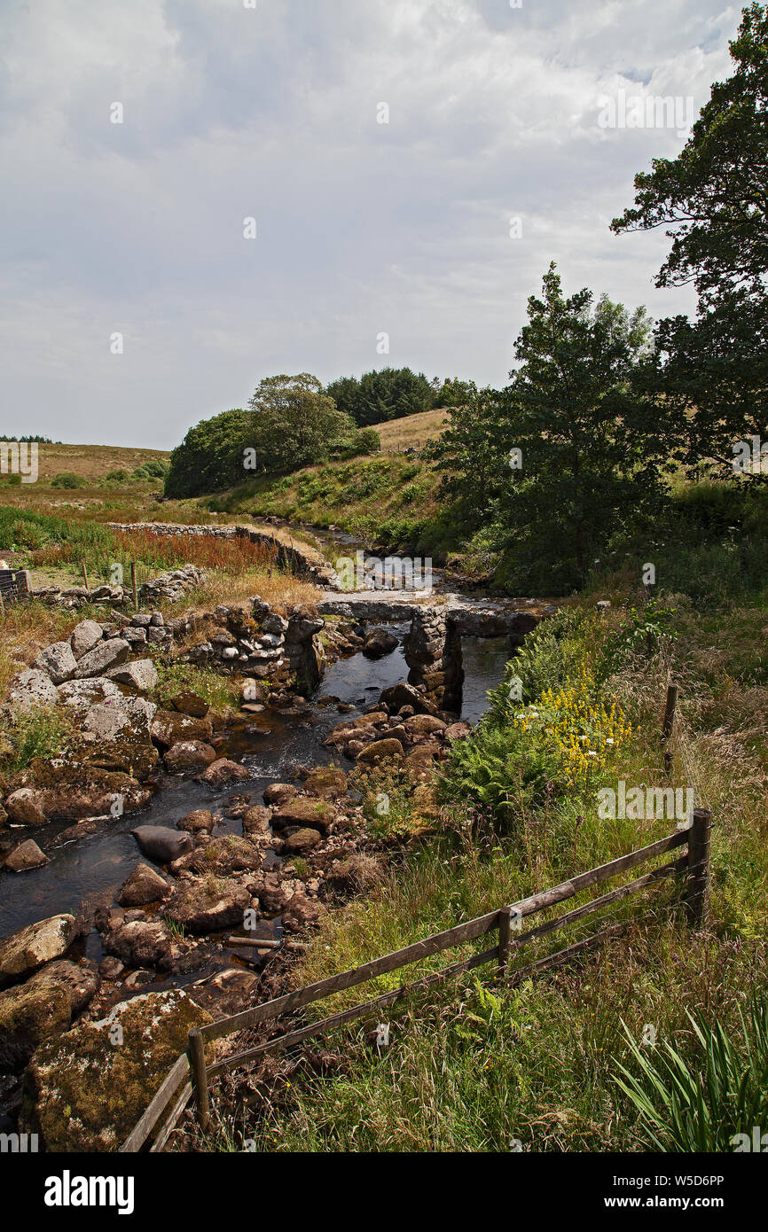 Blackbrook River Bridge, Dartmoor, England Stockfoto