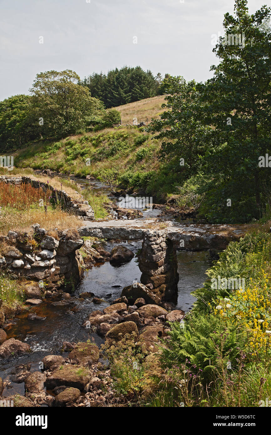 Blackbrook River Bridge, Dartmoor, England Stockfoto