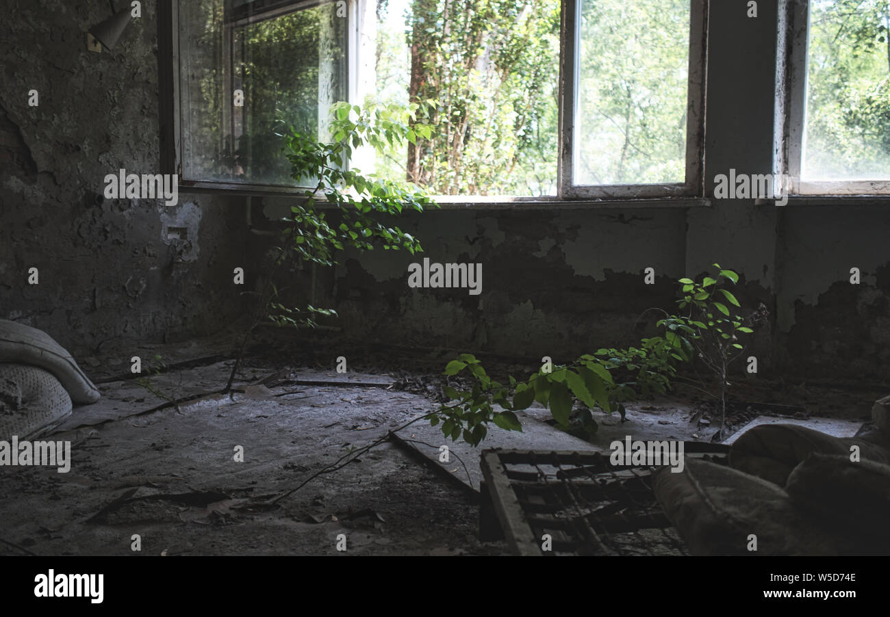 Natur über alte Gebäude in Tschernobyl nehmen Stockfoto