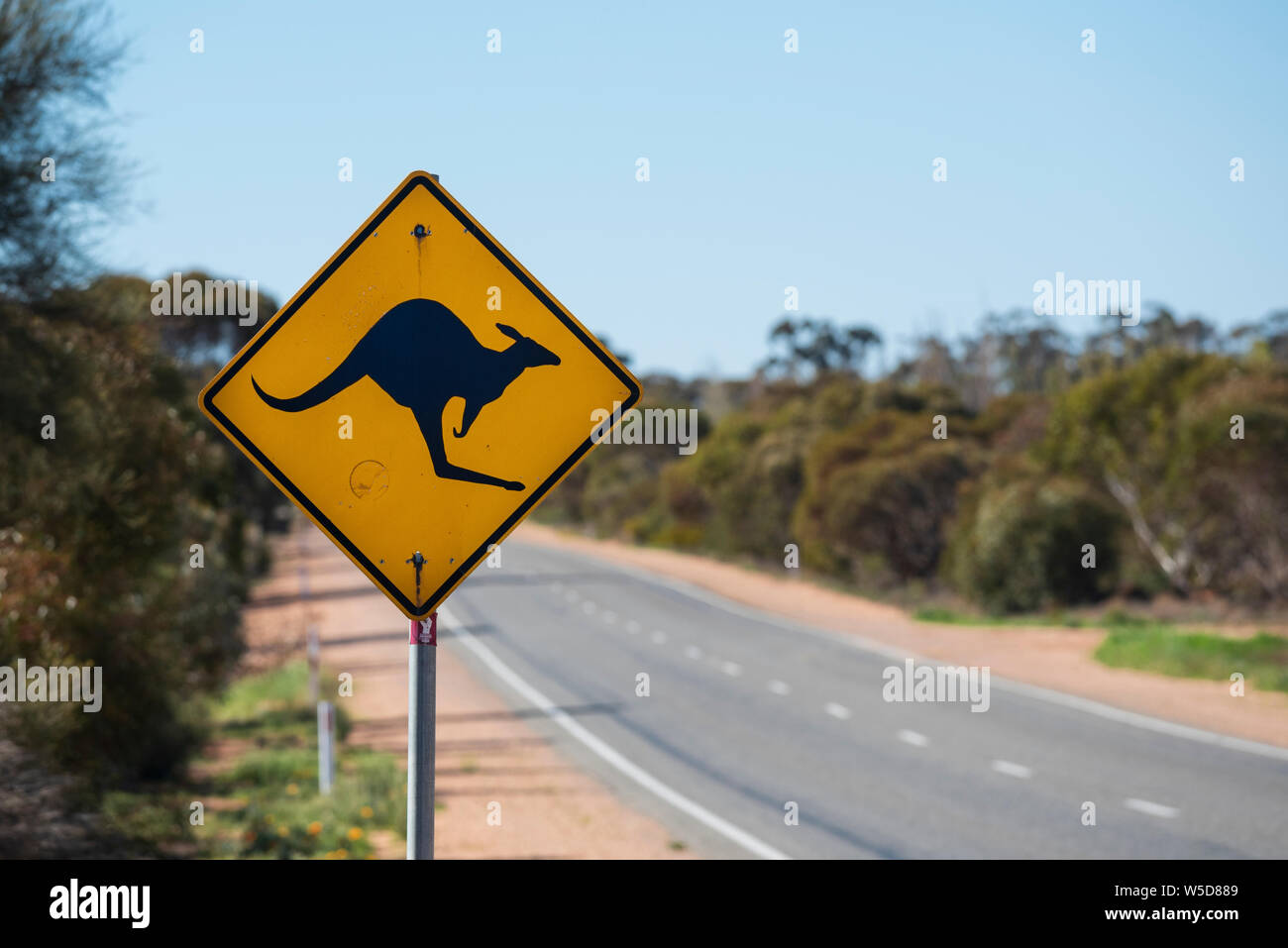 Australische Schild Warnung der Kängurus auf Straße, South Australia, Australien Stockfoto