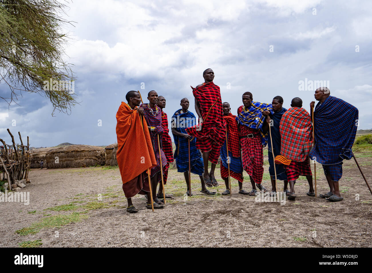 Traditionelle Masai springen Tanz in einem Masai Dorf, Tansania, Ostafrika Stockfoto