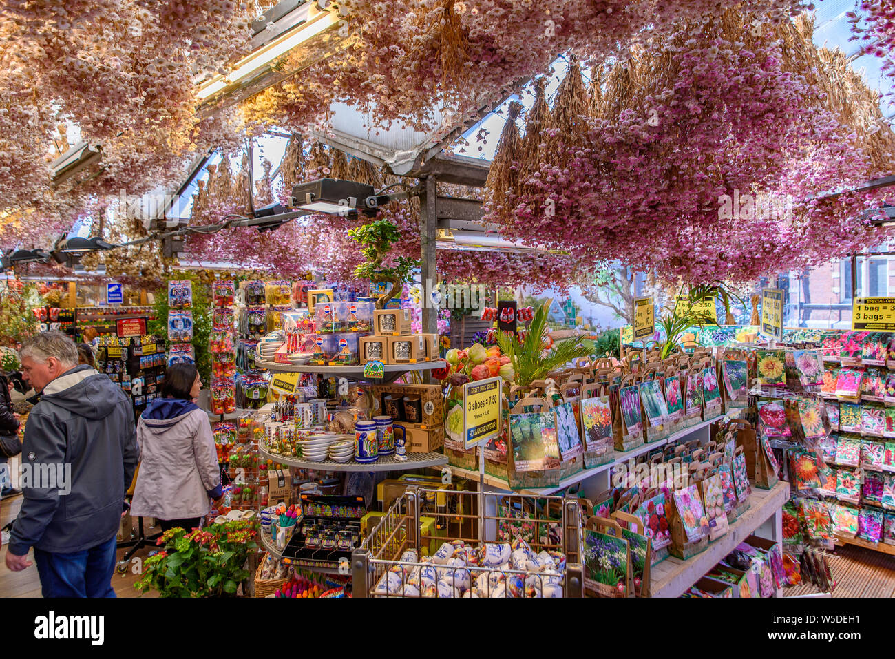 Bloemenmarkt, der schwimmende Blumenmarkt in Amsterdam, Niederlande Stockfoto