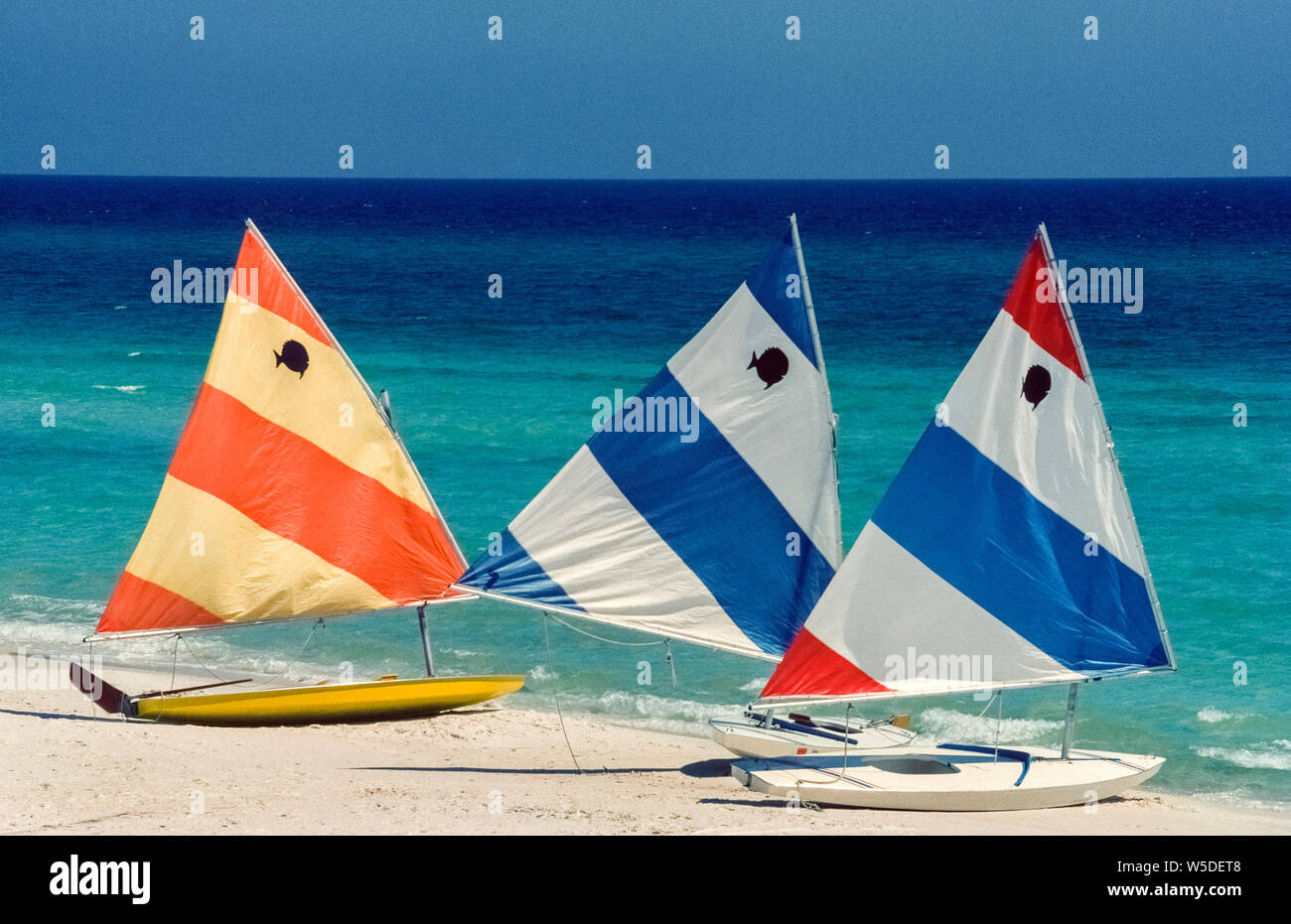Drei kleine Segelboote Rest an den Rand des Wassers, während für Urlauber am Golf von Mexiko Küste in Panama Beach in den Panhandle von Florida, USA zu vermieten. Marke - namens 'Sunfish' von der Bootsbauer, die eine Person Fiberglas segeln Handwerk sind bequem mit dem Emblem der amerikanischen Firma auf Ihrer hell gestreifte Segel identifiziert. Mit einem breiten flachen Rumpf und dreieckige Segel, die leichte Schiffe sind leicht zu manövrieren und sind ein Liebling der Novize sailboaters. Seit 1952 eingeführt wurden, Sunfish haben Beliebt auf der ganzen Welt geworden und haben sogar international racing Wettbewerbe. Stockfoto