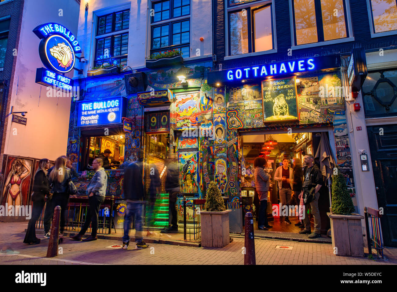 Die Bulldog bei Nacht, der erste Cannabis Coffee Shop in Amsterdam, Niederlande Stockfoto
