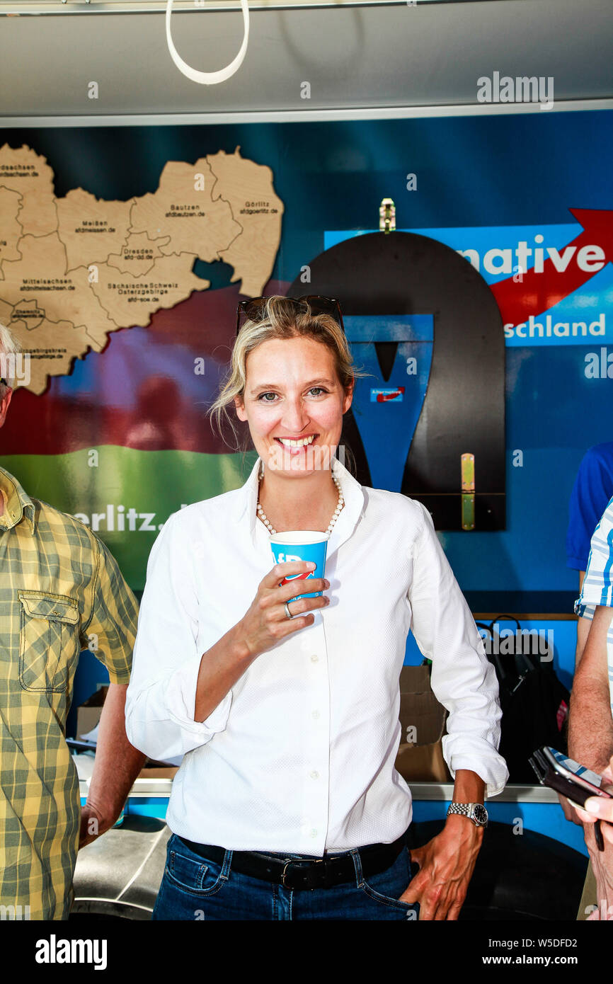 Alice weidel -Fotos und -Bildmaterial in hoher Auflösung – Alamy