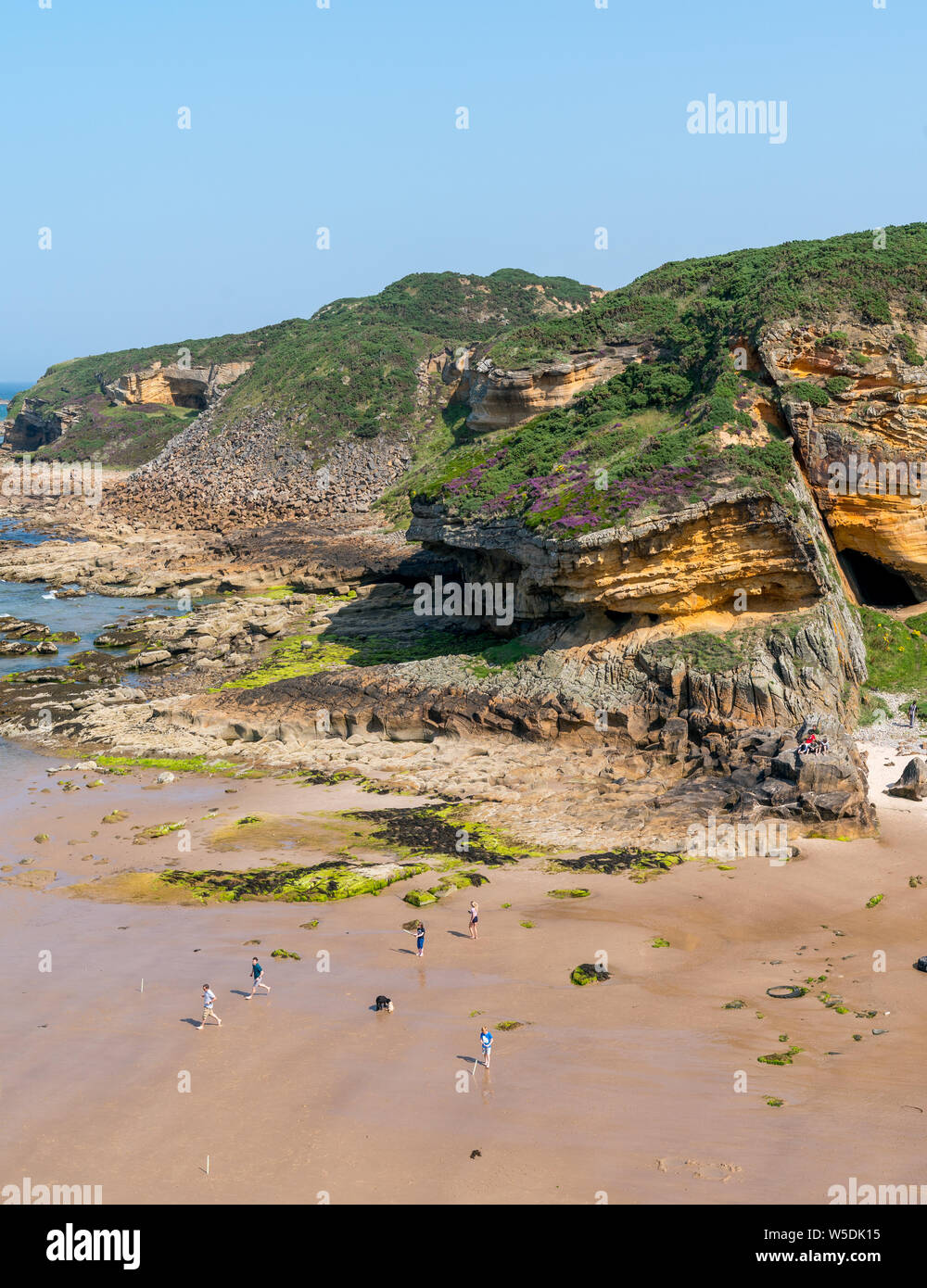 Cove Bay, Hopeman, Muränen, UK. 28. Juli 2019. UK. Dies ist die Szene am Sonntag Nachmittag in der sehr geschützten Bucht Bay, in der Nähe von hopeman auf der Küste von Moray. Credit: JASPERIMAGE/Alamy leben Nachrichten Stockfoto