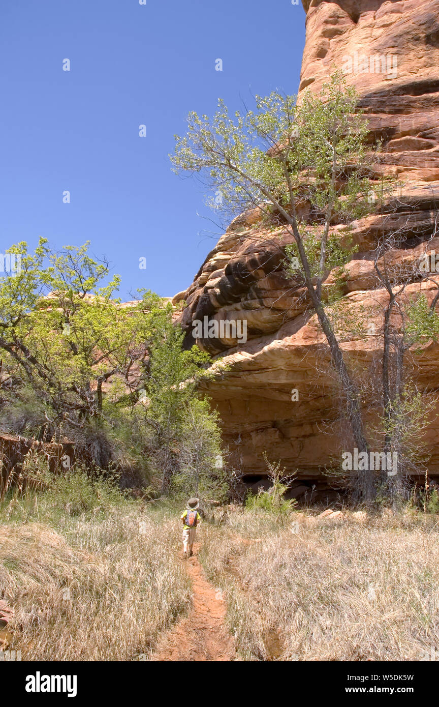 Jungen laufen sie in Richtung des großen Überhang der Roten slickrock entlang einer Schlucht Wand in Squaw Canyon des Canyonlands National Park, Utah. Stockfoto