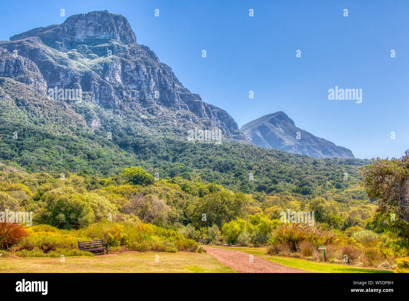 Der Botanische Garten von Kirstenbosch in Kapstadt, Südafrika. Ein Ziegelstein Weg führt die Besucher durch die Gärten. Table Top Berge in der Ferne. Stockfoto