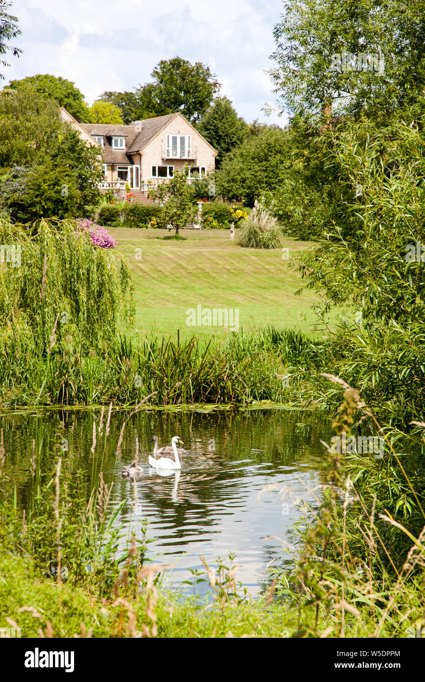 Ruhige Szene auf dem Fluss Avon in Warwickshire in England mit Schwänen und signets auf dem Wasser Stockfoto