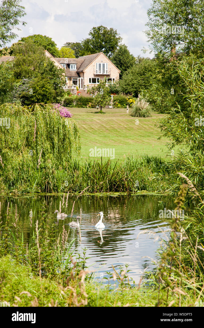 Ruhige Szene auf dem Fluss Avon in Warwickshire in England mit Schwänen und signets auf dem Wasser Stockfoto