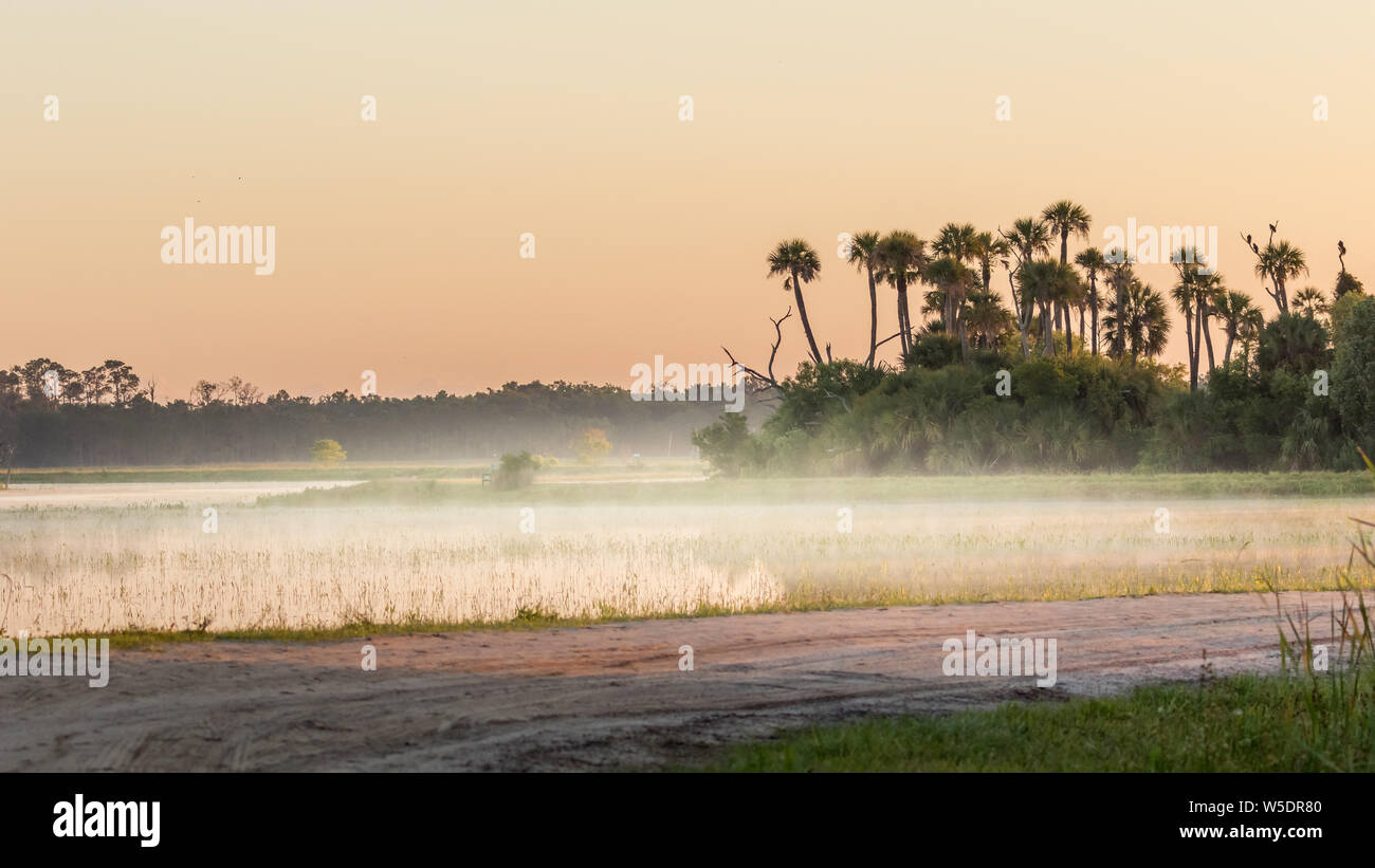 Das Orlando Wetlands Park. an einem nebligen Morgen. Ein Park und von Feuchtgebieten für die Behandlung des zurückgeforderten Wasser von der Stadt Orlando. Stockfoto
