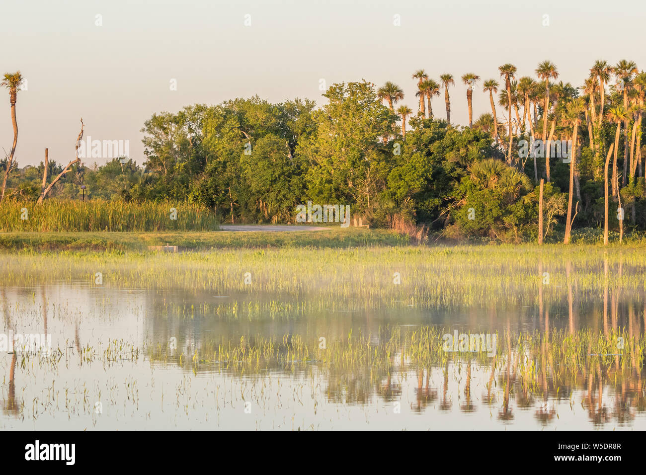 Das Orlando Wetlands Park. Eine von Menschen geschaffene Feuchtgebiet für die Behandlung des zurückgeforderten Wasser von der Stadt Orlando. Stockfoto