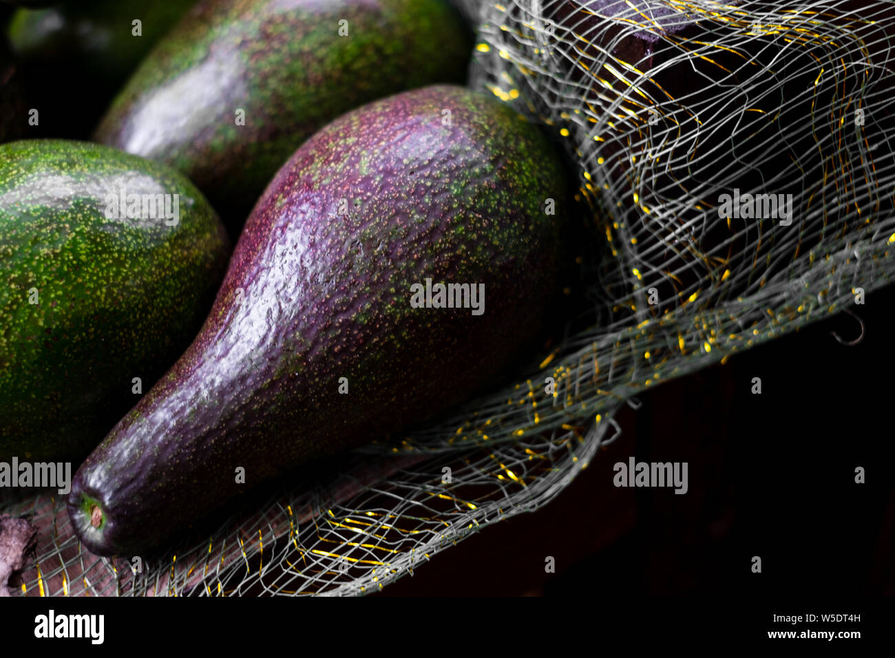 Frisch gepflückte Organische avocado Obst (AKA butter Obst oder Alligator Pear) auf Netz Tuch. Er enthält erhebliche Menge an gesunden Fettsäuren. Stockfoto