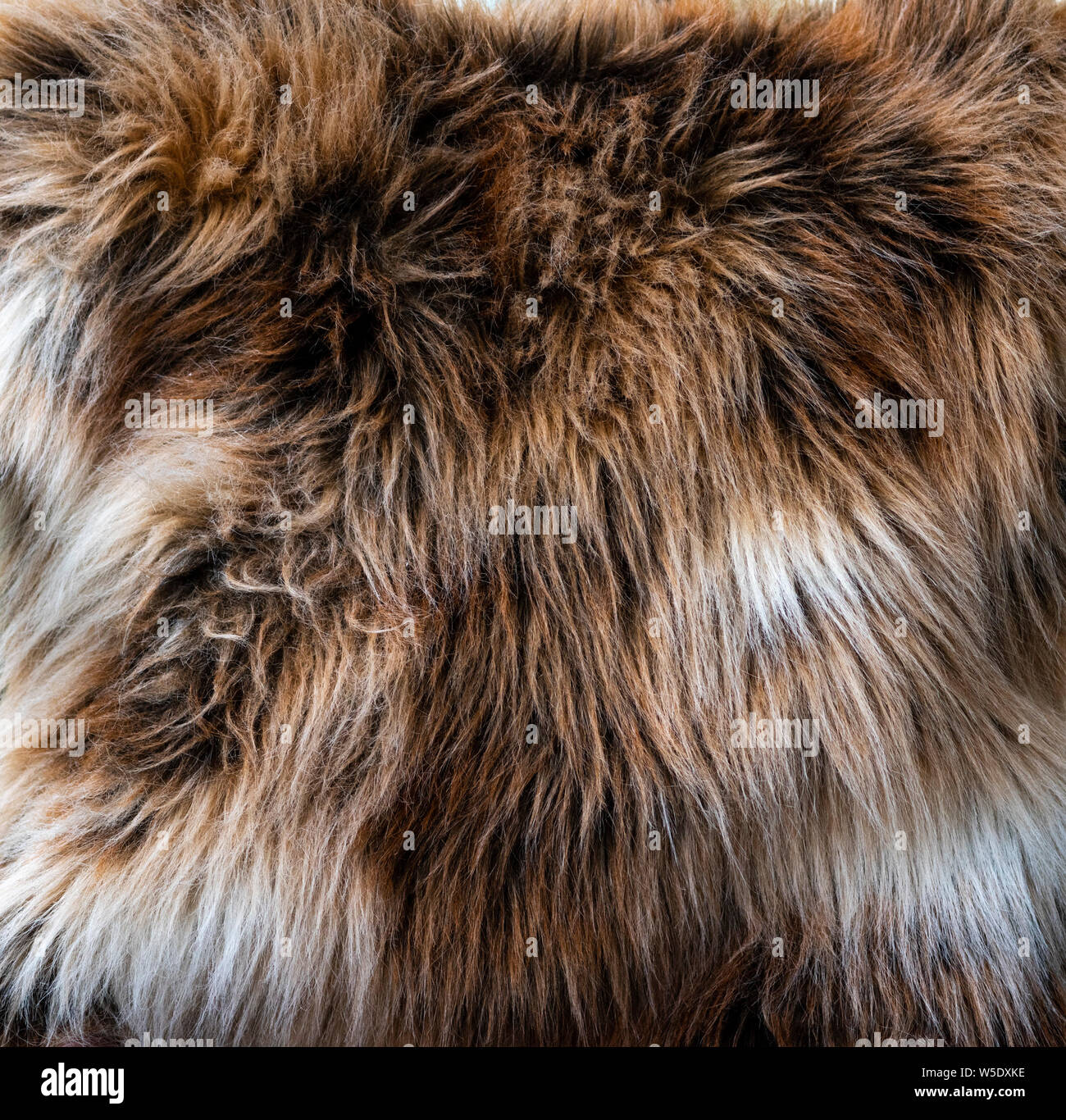 Fell Teppich hoch auflösenden natürlichen Textur Stockfoto