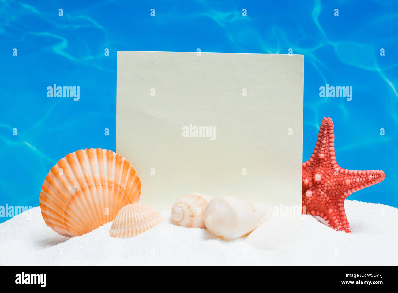 Leere Nachricht wit Muscheln und ein Seestern auf Sand Stockfoto