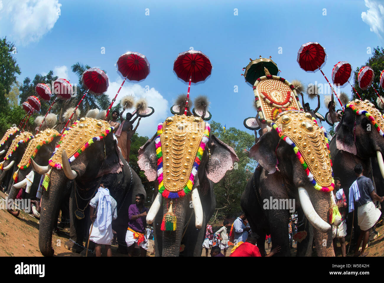 Das Bild des Verzierten Elefanten wurde in Thrissur Pooram Festival in Thrissur, Kerala Indien, aufgenommen Stockfoto