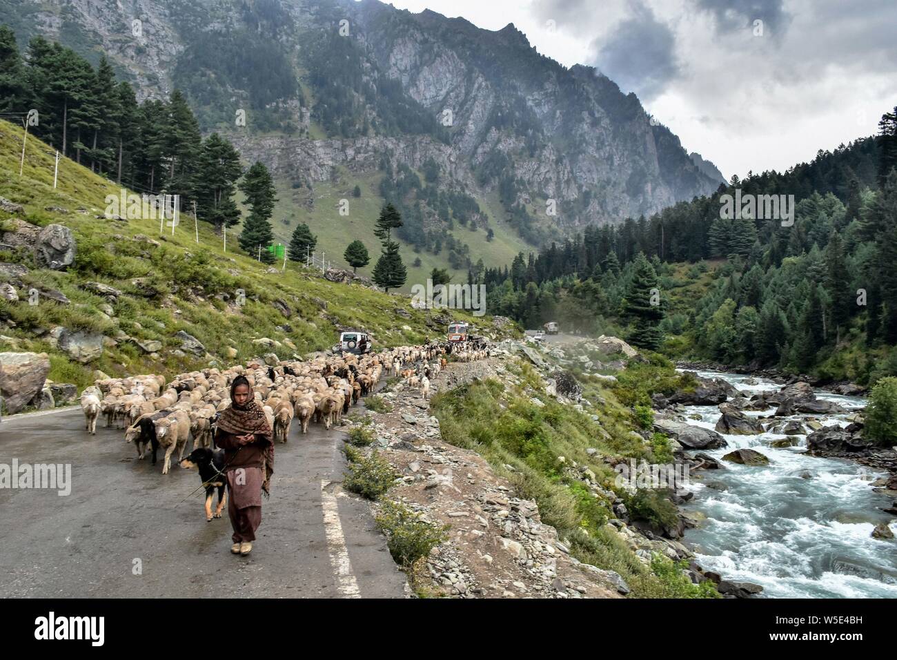 Juli 28, 2019, Kaschmir, J&K, Indien: ein Kaschmirischen nomad Mädchen geht mit ihrer Herde Schafe an einem bewölkten Tag bei der Tourist Resort Sonamarg etwa 90 km von Srinagar, die Hauptstadt von J&K, Indien. Wie der Regen für den vierten Tag am Sonntag fortgesetzt, der Himmel bewölkt in der zweiten Hälfte des Tages blieb. Das Wetter Abteilung hat mehr Niederschlag in vielen Teilen des Tals in den nächsten 24 Stunden vorhergesagt. Credit: Saqib Majeed/SOPA Images/ZUMA Draht/Alamy leben Nachrichten Stockfoto