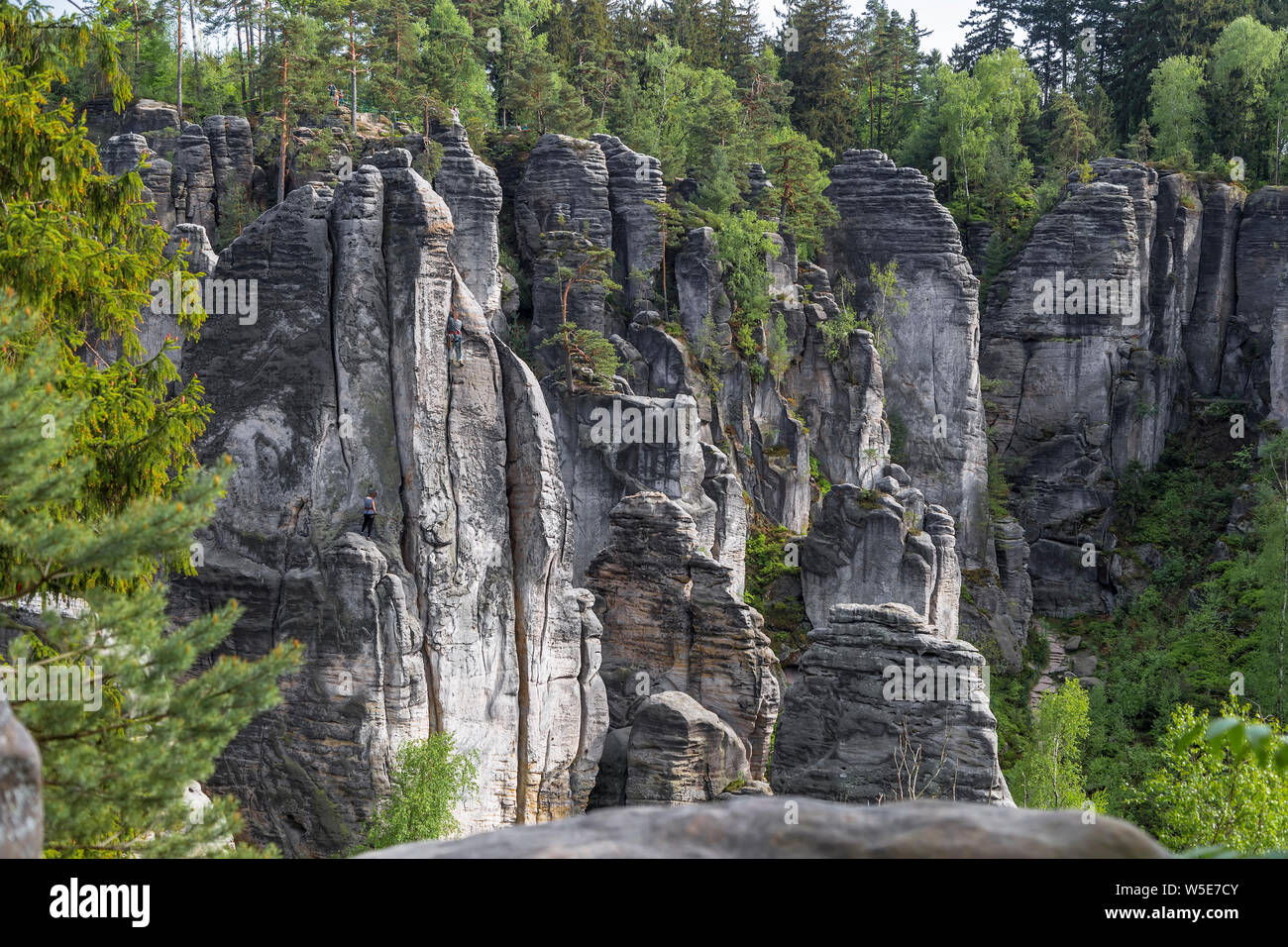 Prachover Felsen im Nationalpark und Naturpark "Böhmische Paradies" Stockfoto