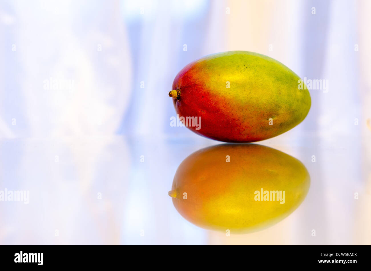 Eine reife Mango Obst Stockfoto