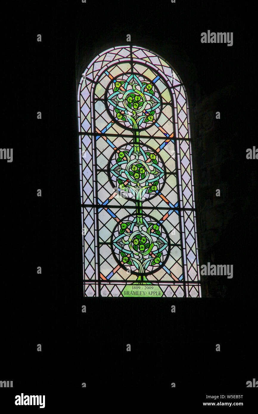 Die bramley Apple Glasfenster in der Kathedrale von Southwell Minster, Southwell, Nottinghamshire, England, Großbritannien Stockfoto