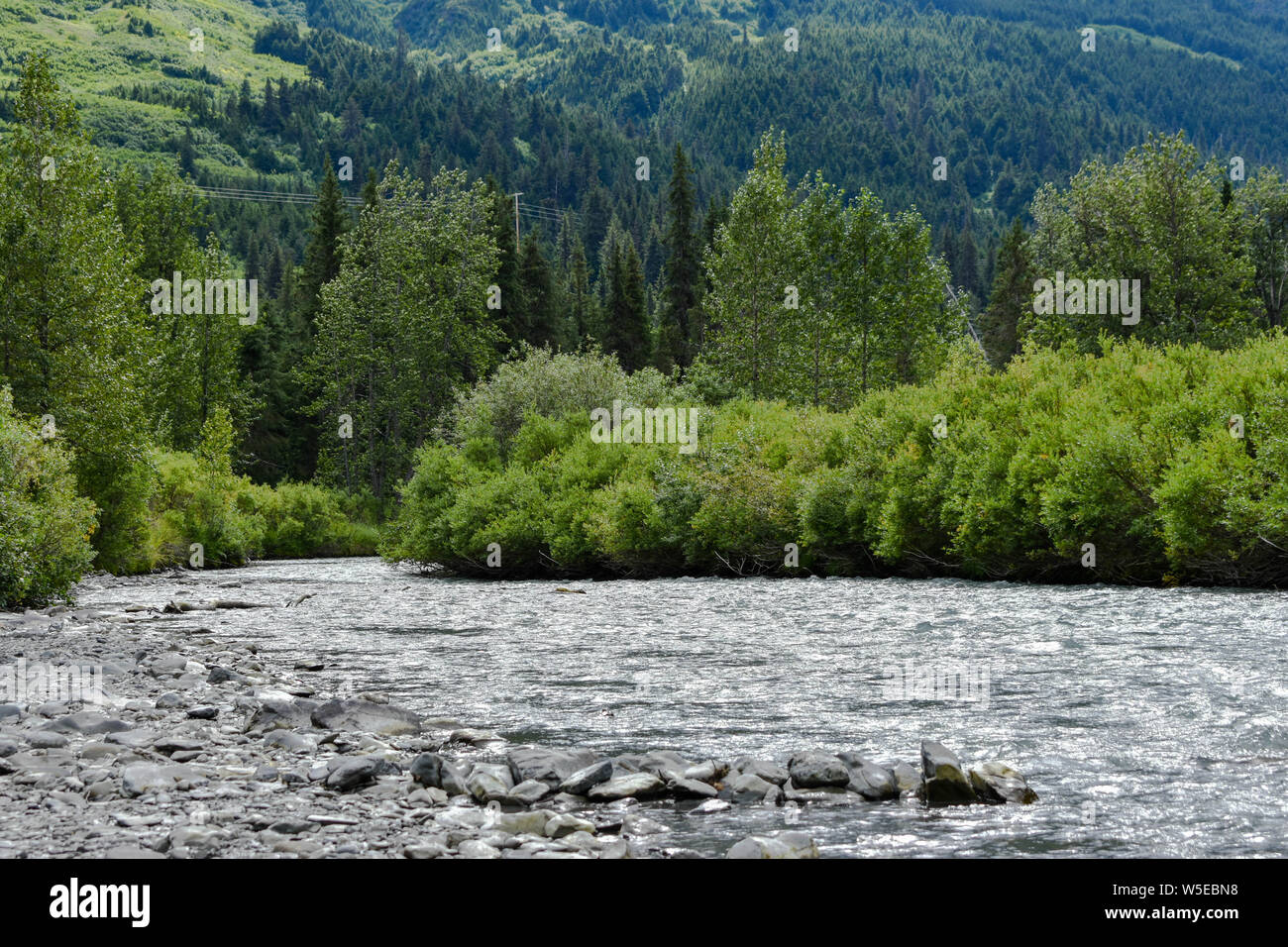 Bertha Creek Campground, Alaska Stockfoto