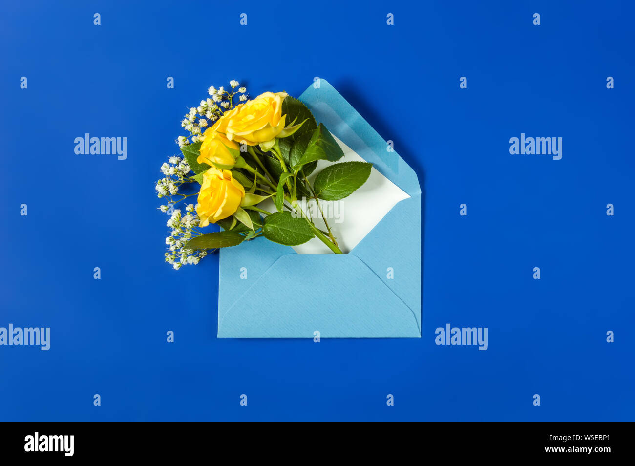Gelbe Rosen und weißen Gypsophila im hellblauen Umschlag close-up auf blauem Hintergrund. Ansicht von oben, flach. Vorlage für die Grußkarte. Festliche Blumen b Stockfoto