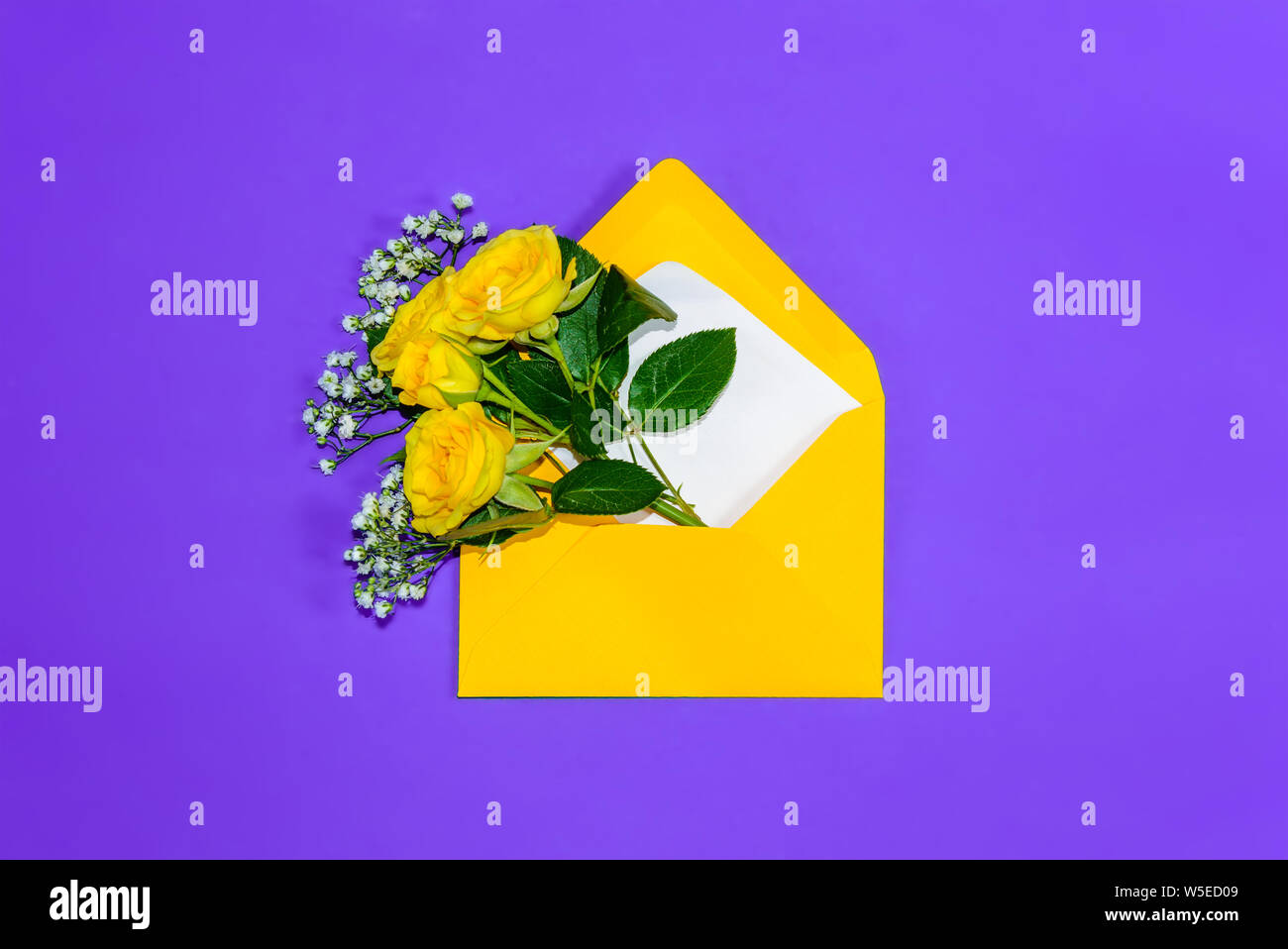 Umschlag mit gelben Rosen und kleinen weißen Füllstoff blumen Gypsophila auf lila Hintergrund geöffnet. Ansicht von oben, flach. Konzept der senden Grüße, Liebe Stockfoto