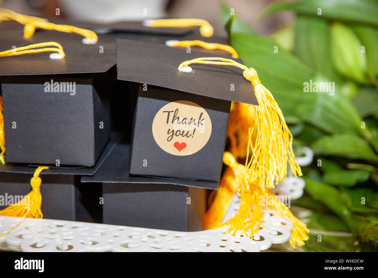 Dankeschön Graduierung boxxen Stockfoto