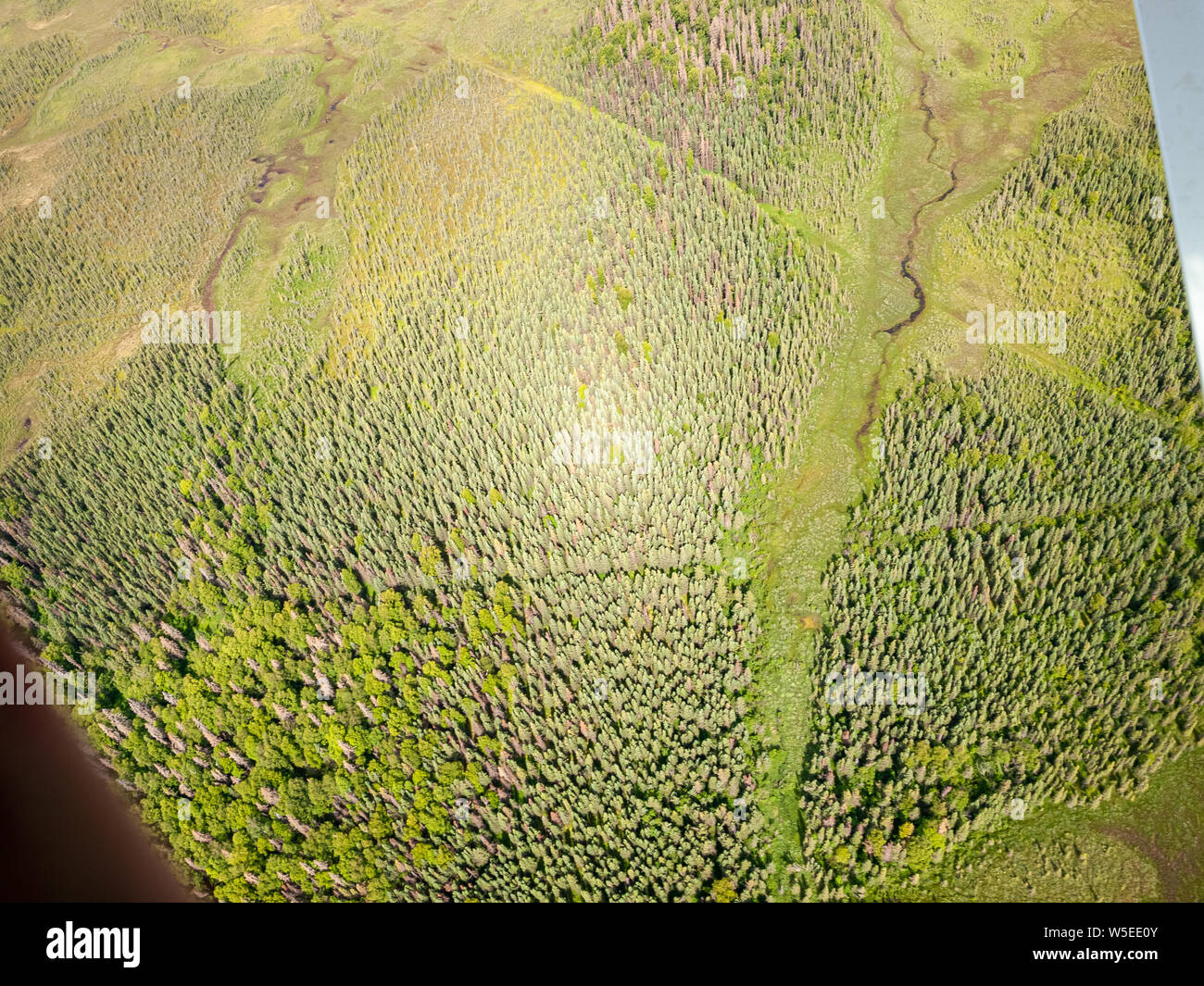 Flying Piper Super Cub vom Anchorage Lake Hood Airport PALH nach Alexander Creek. Susitna River, Point Mackenzie. Zulass Kochen. Tundra Reifen. Busflugzeug. Stockfoto