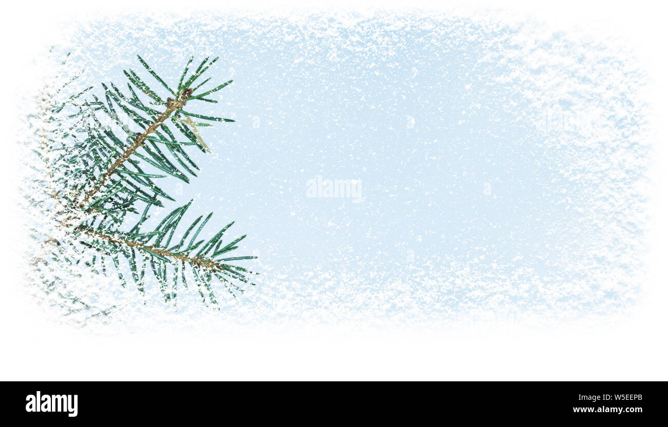 Christamas Ast mit Schneefall in der Ecke der horizontalen banner Hintergrund abgedeckt. Stockfoto