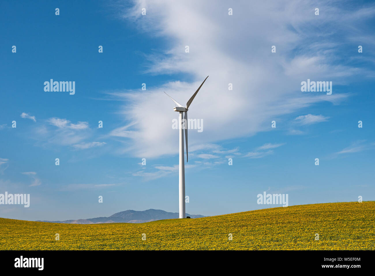 Solano County Windparks Kalifornien Stockfoto